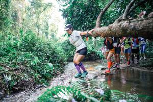 BIB: 
                            <button type="button" onclick="openModal(25464927)" class="btn btn-primary btn-sm float-right btn-popup" data-toggle="modal" data-target=".modal-high-quality">
                        <i class="fas fa-shopping-cart"></i> Add to Cart
                    </button>
                                            <button type="button" onclick="isThisMe(25464927, true)" class="btn btn-success btn-sm float-right btn-popup btn-isme hidden" data-toggle="tooltip" data-placement="bottom" title="นี่คือรูปของคุณใช่ไหม คลิกที่นี่เพื่อเอาเข้าอัลบั้ม">
                        <i class="fas fa-plus"></i> Add to album
                    </button>
                    <button type="button" onclick="isThisMe(25464927, false)" class="btn btn-warning btn-sm float-right btn-popup btn-isnotme hidden">
                        <i class="fas fa-ban"></i> Remove from album
                    </button>